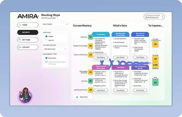 The Reading Rope Report: A Simple View of Complex Data